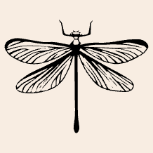 Mademoiselle Libellule
