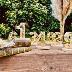 Lot de 9 chiffres lumineux